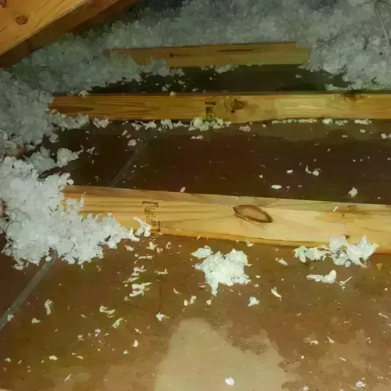 Attic Water Damage in New Ellenton, SC